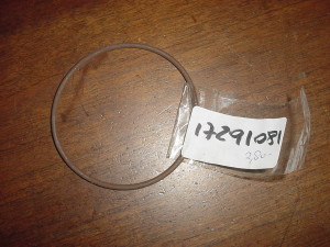 125265 O-ring wiellager kleine