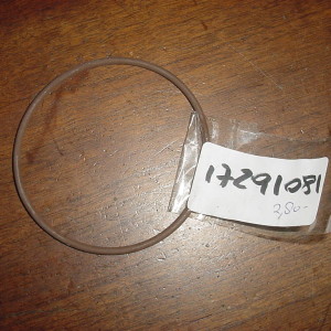 125265 O-ring wiellager kleine