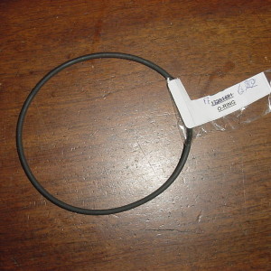 125290 O-ring wiellager grote