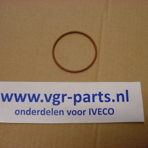 17284181 O-ring thermostaat