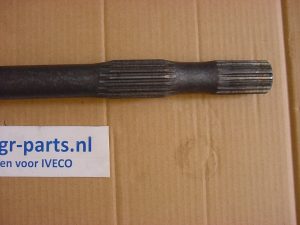 Steekas sper - Afbeelding 2
